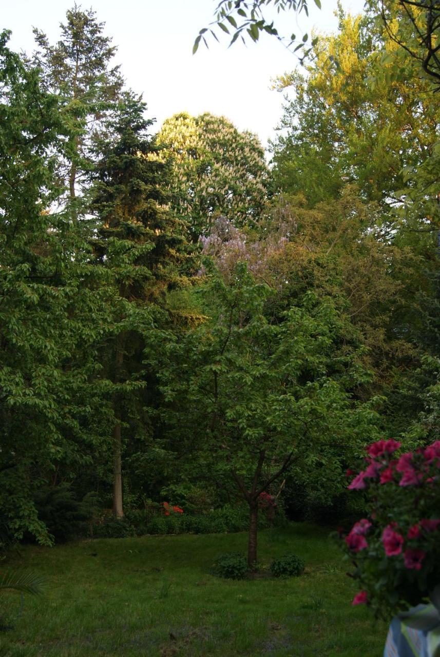 "Am Griebnitzsee" 14482 Potsdam-Babelsberg Exterior photo